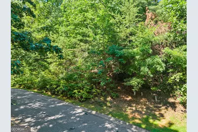 0 Raspberry Lane #1502, Clarkesville, GA 30523 - Photo 14