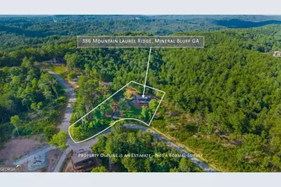 386 Mountain Laurel Ridge, Mineral Bluff, GA 30559 - Photo 6