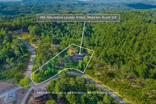 386 Mountain Laurel Rdg, Mineral Bluff, GA 30559 - Photo 6