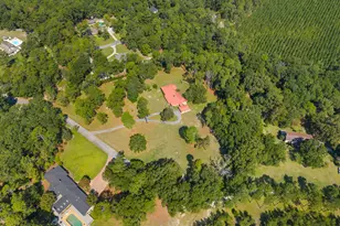 315 Cork Pond Rd, Sylvania, GA 30467 - Photo 44