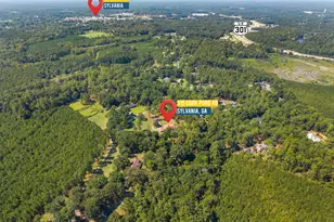 315 Cork Pond Rd, Sylvania, GA 30467 - Photo 4