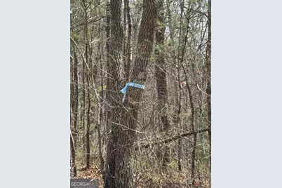 0 Laurel Branch, Dawsonville, GA 30534 - Photo 4