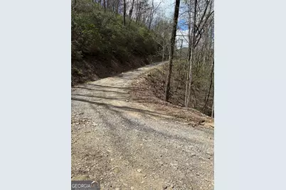 0 Laurel Branch, Dawsonville, GA 30534 - Photo 14