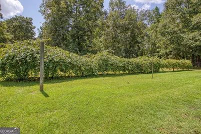 792 Fincher Road, Moreland, GA 30259 - Photo 82
