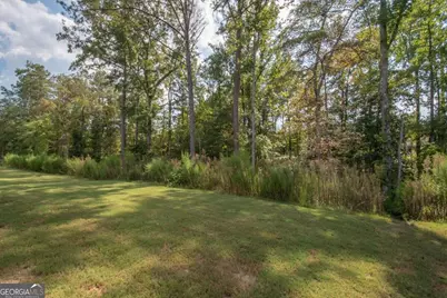 54 Airmont Drive, Sharpsburg, GA 30277 - Photo 30