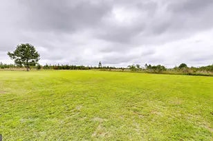 157 Scarlett O Hara Dr, Ailey, GA 30410 - Photo 8