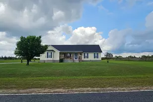157 Scarlett O Hara Dr, Ailey, GA 30410 - Photo 2