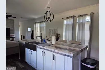 147 McIntyre Road, Mount Vernon, GA 30445 - Photo 10