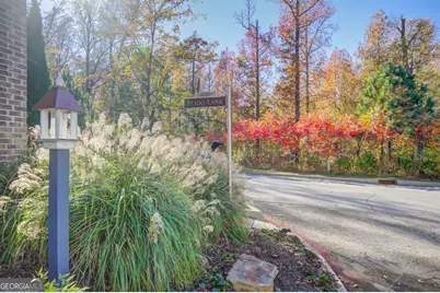 142 Mado Lane, Chattahoochee Hills, GA 30268 - Photo 52
