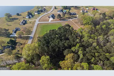 0 Bear Creek Trail, Hampton, GA 30228 - Photo 4