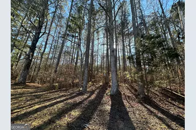 0 Hard Rock Road, Oxford, GA 30054 - Photo 2