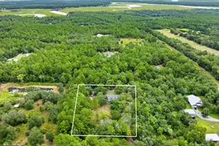 1194 Baileys Forrest Road NE, Townsend, GA 31331 - Photo 6