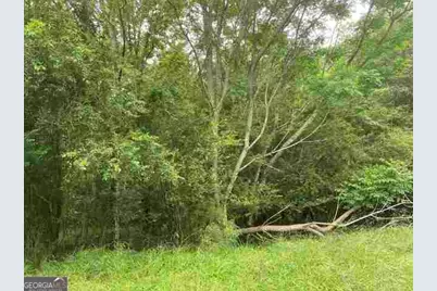 0 River Birch Lane #TRACT 9, Colbert, GA 30628 - Photo 1