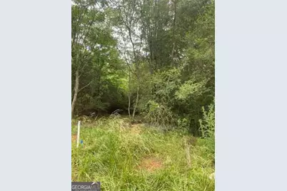 0 River Birch Lane #TRACT 9, Colbert, GA 30628 - Photo 2