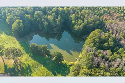 3767 US Hwy 27, Buchanan, GA 30113 - Photo 2