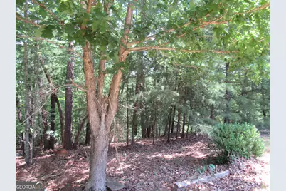 13 Hallmark Place, Dahlonega, GA 30533 - Photo 12