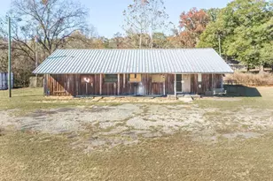 51 Louie Blount Rd, Hawkinsville, GA 31036 - Photo 2
