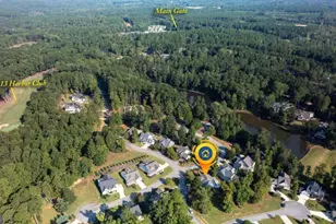 1100 Mira Vis Cv, Greensboro, GA 30642 - Photo 46