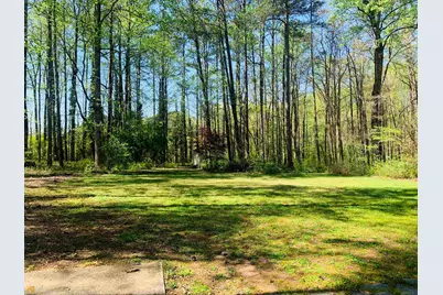 210 Spring Forest Way, Sharpsburg, GA 30277 - Photo 2