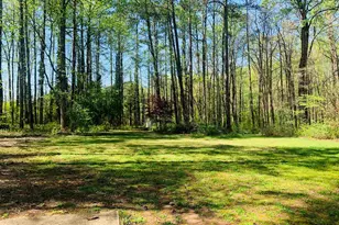 210 Spring Forest Way, Sharpsburg, GA 30277 - Photo 2