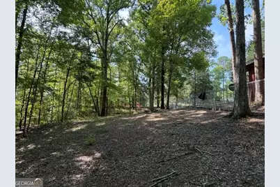 462 Amaryllis Drive, Sparta, GA 31087 - Photo 12