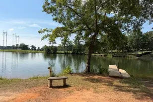 462 Amaryllis Dr, Sparta, GA 31087 - Photo 28