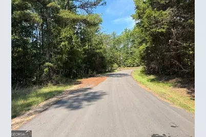 462 Amaryllis Drive, Sparta, GA 31087 - Photo 2