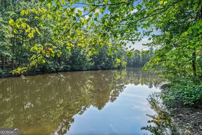 354 Gibson Road, Newnan, GA 30263 - Photo 42