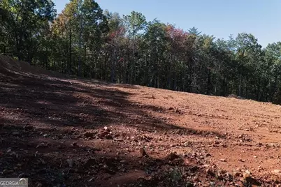 34 E Heritage Drive NE, Rydal, GA 30171 - Photo 24
