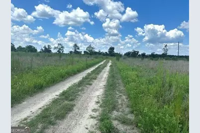 0 Ga Hwy 298 Parcel 2, Vidalia, GA 30474 - Photo 1