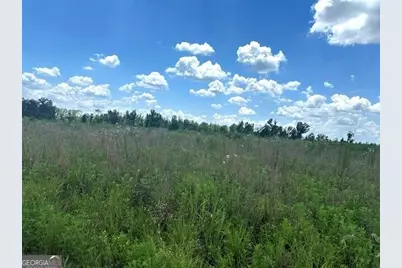 0 Ga Hwy 298 Parcel 2, Vidalia, GA 30474 - Photo 4