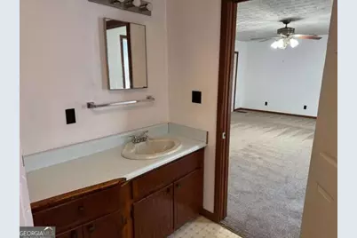 313 Carter Street, Greenville, GA 30222 - Photo 14