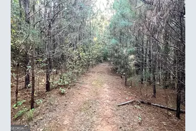 125 Karen Drive, McDonough, GA 30252 - Photo 30