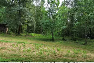 582 Asbury Church Rd, Irwinton, GA 31042 - Photo 104