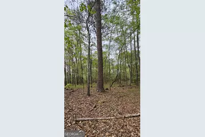1050 Smith Road, Fortson, GA 31808 - Photo 10