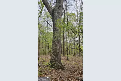 1050 Smith Road, Fortson, GA 31808 - Photo 4