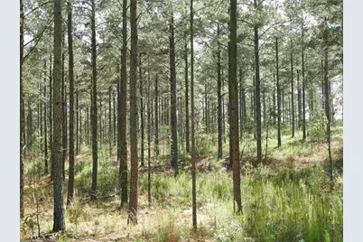 0 Griffin Road #5007-PARCEL 2, Cartersville, GA 30120 - Photo 26