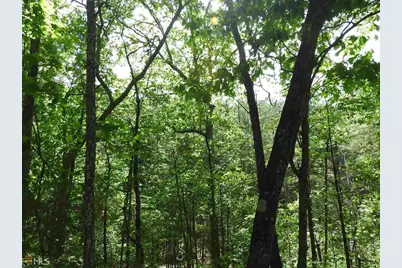 0 Griffin Road #5007-PARCEL 2, Cartersville, GA 30120 - Photo 22