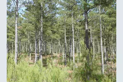 0 Griffin Road #5007-PARCEL 2, Cartersville, GA 30120 - Photo 24