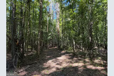 0 Pig Road, Bartow, GA 30413 - Photo 12