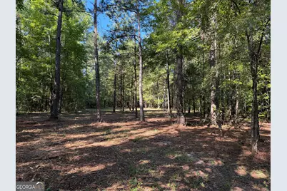 0 Pig Road, Bartow, GA 30413 - Photo 6