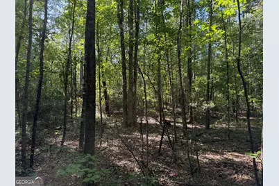 0 Pig Road, Bartow, GA 30413 - Photo 24