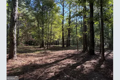 0 Pig Road, Bartow, GA 30413 - Photo 10