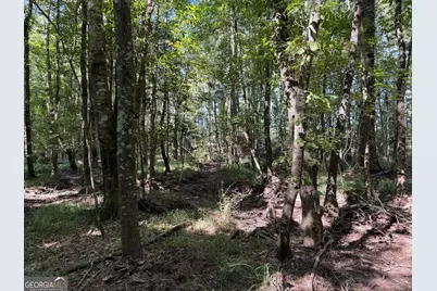0 Pig Road, Bartow, GA 30413 - Photo 18