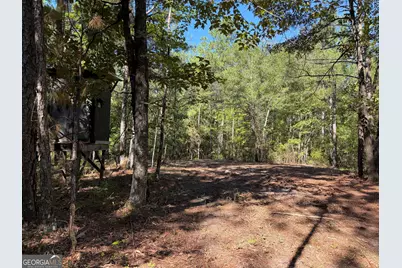 0 Pig Road, Bartow, GA 30413 - Photo 1