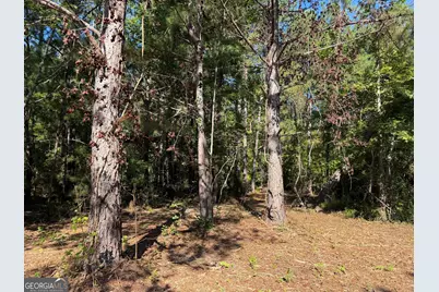 0 Pig Road, Bartow, GA 30413 - Photo 2