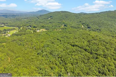 0 Highway 115, Cleveland, GA 30528 - Photo 18