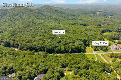 0 Highway 115, Cleveland, GA 30528 - Photo 12