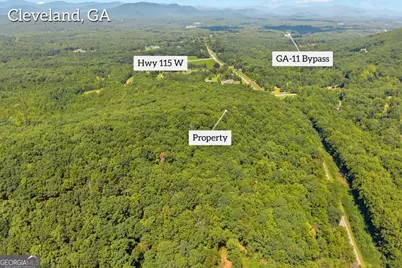 0 Highway 115, Cleveland, GA 30528 - Photo 10