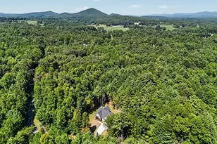 443 Hawks Nest Dr, Blairsville, GA 30512 - Photo 58